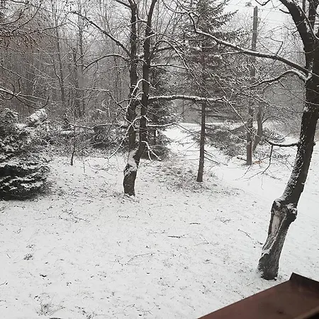 Bujaków, Zdrojowa 58a Bujakow