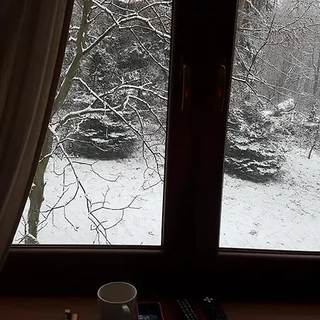 Apartament Bujaków, Zdrojowa 58a Bujakow