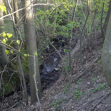 Bujaków, Zdrojowa 58a