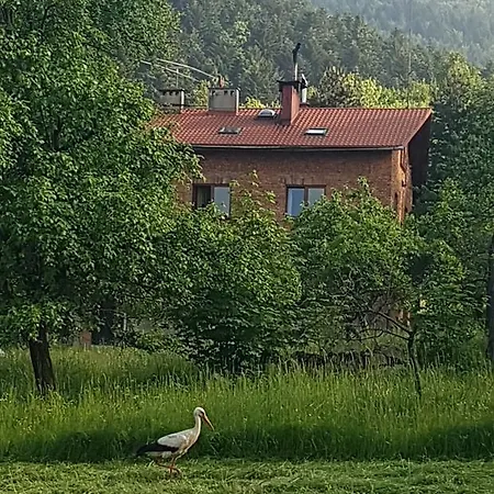 Apartament Bujaków, Zdrojowa 58a Bujakow