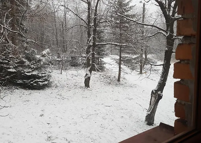 Bujakow, Zdrojowa 58a Bujakow