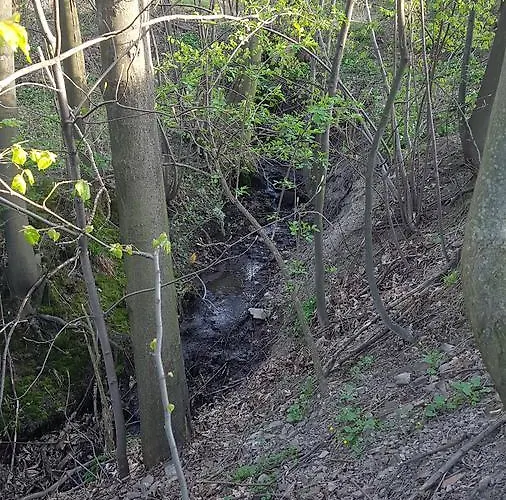 Bujakow, Zdrojowa 58a