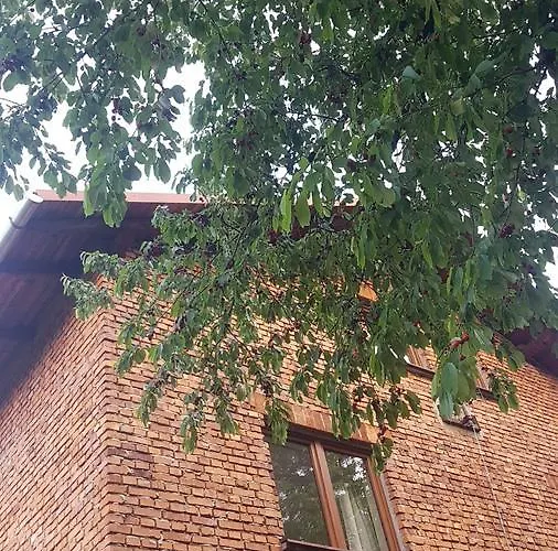 Bujakow, Zdrojowa 58a * Bujakow